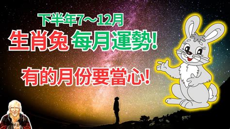 2024屬兔每月運勢|屬兔2024運勢前瞻：每月運程詳析